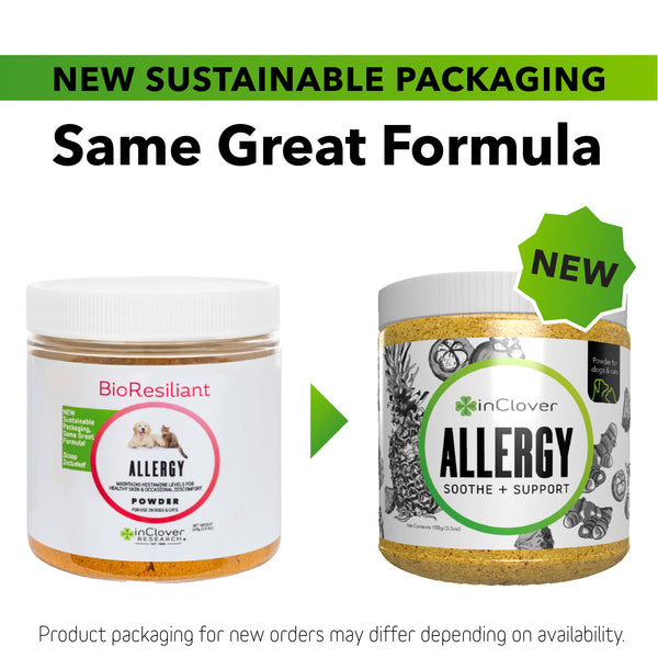 Allergy Supplement for Dogs + Cats (BioResiliant)