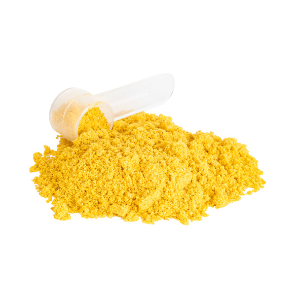 Skin + Coat Supplement for Dogs + Cats (BioRadiant)