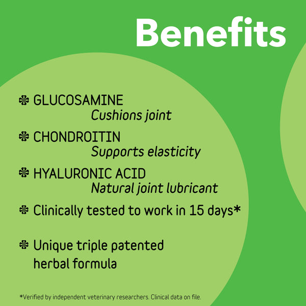 Canine Connectin | Clinically Proven Hip & Joint Supplement, Powder