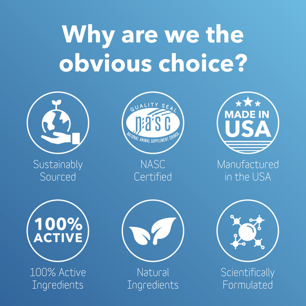 Dental Supplement for Dogs + Cats (BioBrilliant)