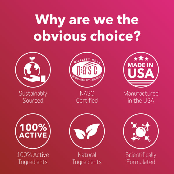 Heart+ Supplement for Dogs + Cats (BioVibrant)