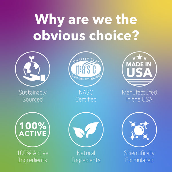 Daily Multi  –  Multivitamin Supplement for Dogs + Cats