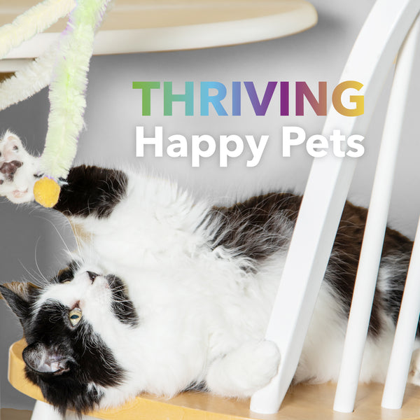 Daily Multi  –  Multivitamin Supplement for Dogs + Cats