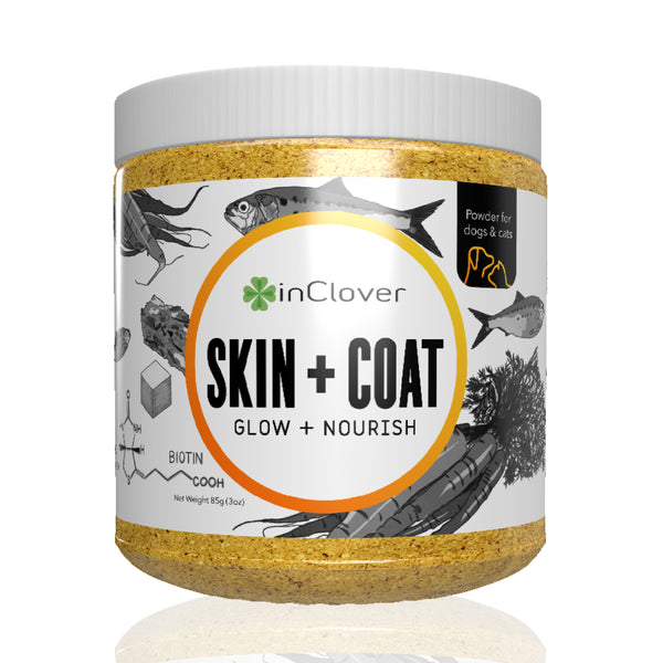 Skin + Coat Supplement for Dogs + Cats (BioRadiant)