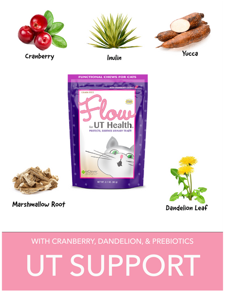 Flow | UT Health Soft Chew With Cranberry Extract for Cats