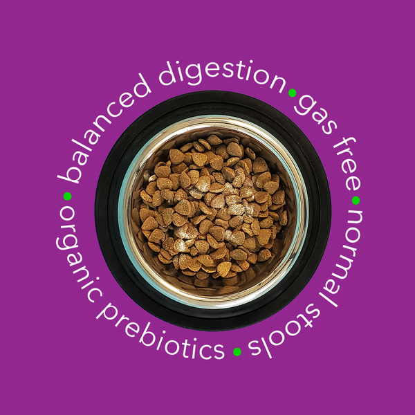 Optagest | Plant Based Prebiotics & Digestive Enzymes for Dogs & Cats