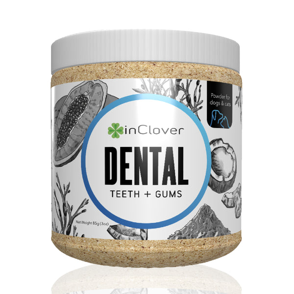 Dental Supplement for Dogs + Cats (BioBrilliant)