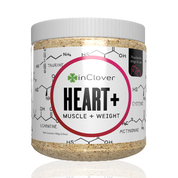 Heart+ Supplement for Dogs + Cats (BioVibrant)