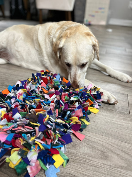 Handcrafted Snuffle Mat