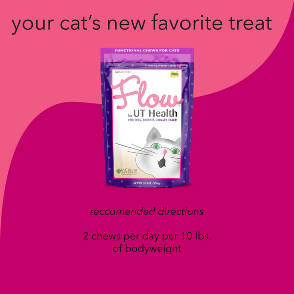 Flow | UT Health Soft Chew With Cranberry Extract for Cats