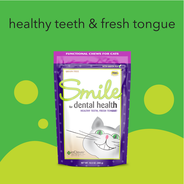 Smile | Dental Support Supplement Soft Chew for Cats