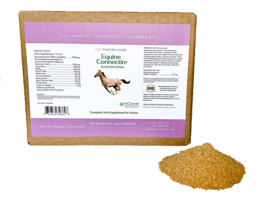 Equine Connectin | All-in-One Joint Support for Horses